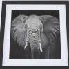 Ellie taulu, 50x50 cm