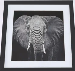 Ellie taulu, 50x50 cm