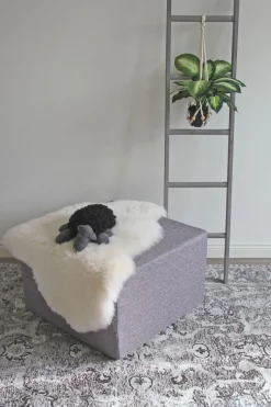 Sleepy vuoderahi, paljon eri värejä