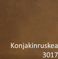 Unico Flamingo 2-istuttava nahkasohva, konjakki