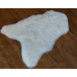 Valkoinen lampaantalja, Icelandic, lyhyt karva