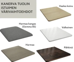 Vilja-Kanerva ruokaryhmä jatkopöydällä, koivu-valkoinen