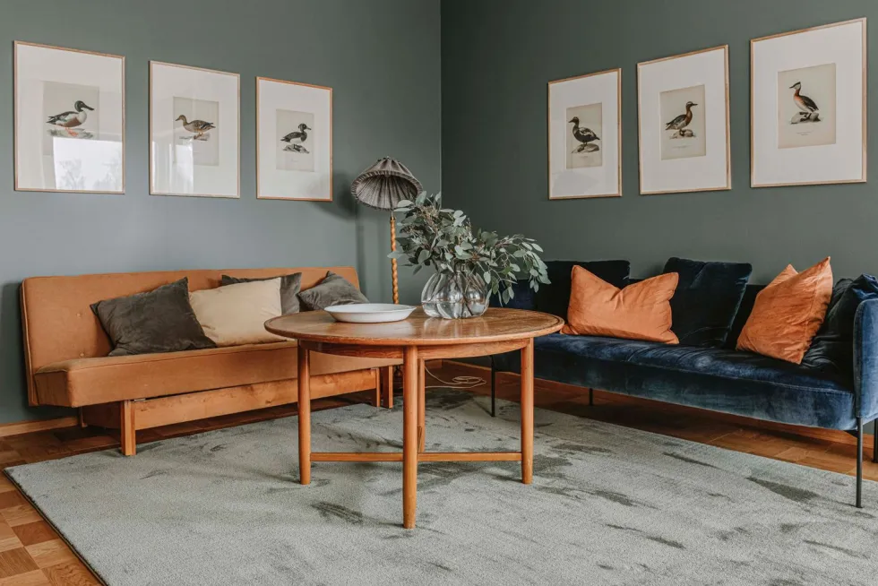 Vm Carpet Puuteri matto, vakiokoot